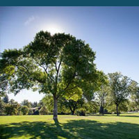 Parks related businesses benefit from City Chamber of Commerce membership